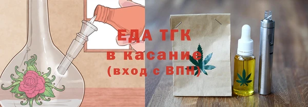 индика Костерёво